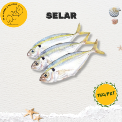 Alternative view of Selar (1kg/pkt)