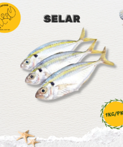 Alternative view of Selar (1kg/pkt)