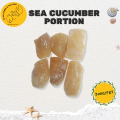 SEA CUCUMBER PORTION  海参 (500g/pkt)