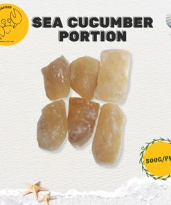 SEA CUCUMBER PORTION  海参 (500g/pkt)