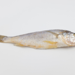 YELLOW CROAKER, FRESH FROZEN, PRE-CUT ≈500G/PC 黄花鱼