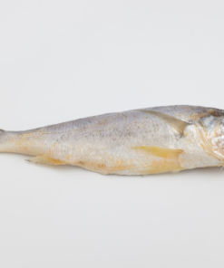 YELLOW CROAKER, FRESH FROZEN, PRE-CUT ≈500G/PC 黄花鱼