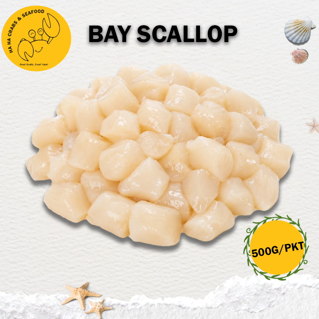 BAY SCALLOP MEATS 海湾扇贝 (500G/PKT)